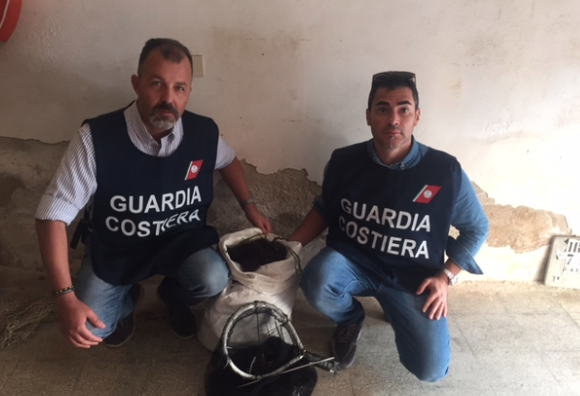 Mille ricci sequestrati dalla Capitaneria a Caucana