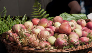 Prelibatezze dell'Etna