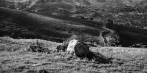 Madonie
