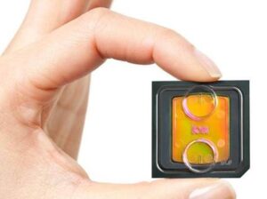 L'oncochip