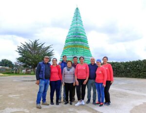 L'albero