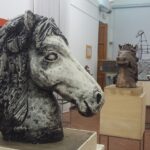 Il centro Ippos