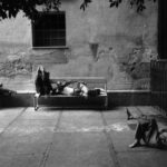Le foto di Josef Koudelka