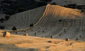 Paesaggio ibleo