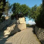 Il parco Forza