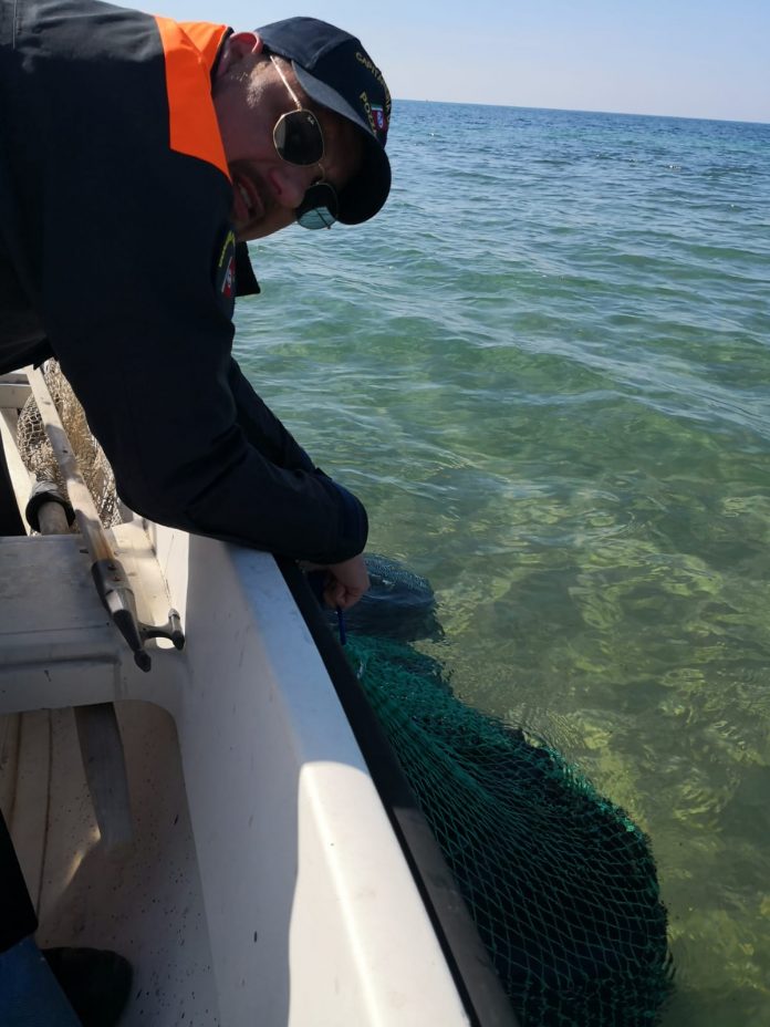 Sequestrati mille ricci nel mare di Montalbano