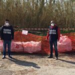 La discarica