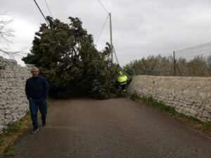 Il crollo