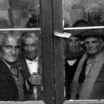 Una foto di Leone