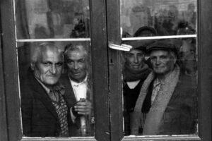 Una foto di Leone