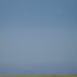 Luna d'agosto