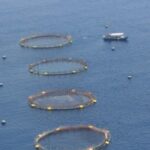 L'acquacoltura
