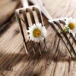 Dieta di primavera