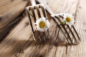 Dieta di primavera