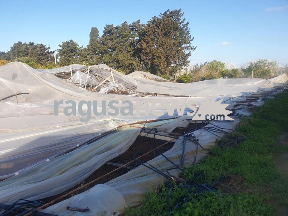 Tromba d’aria a Santa Croce, danni alle serre. FOTO