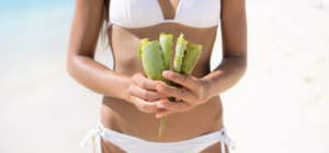 Sgonfiapancia con l'aloe