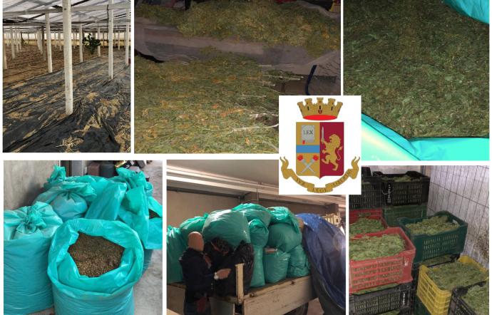 770 chili di droga nelle campagne di Acate