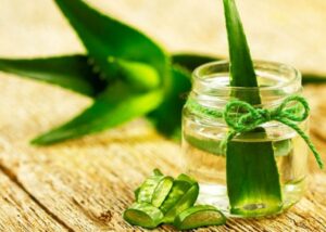 Aloe