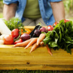Dieta di primavera