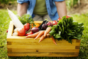 Dieta di primavera