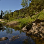Monte Lauro