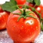 Il pomodoro