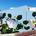 Il murales delle api