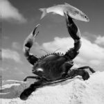 Una delle foto in mostra
