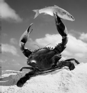 Una delle foto in mostra