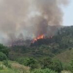 L'incendio del bosco
