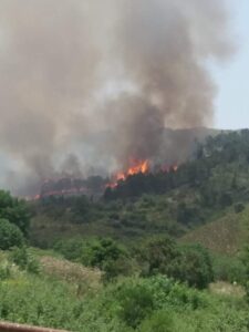 L'incendio del bosco