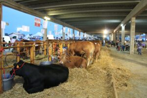 Fiera agricola