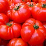 Pomodori