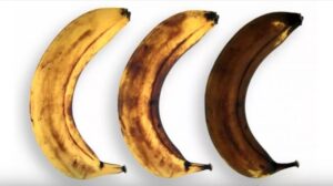 Banana matura