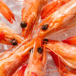 Crostacei