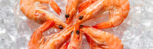 Crostacei