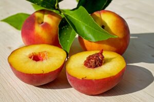 Frutta