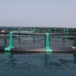 Acqua azzurra a Pachino
