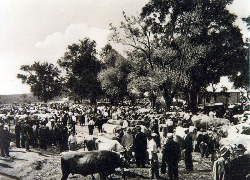 San Bartolomeo e la fiera del bestiame, a Giarratana