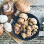 La dieta dei funghi