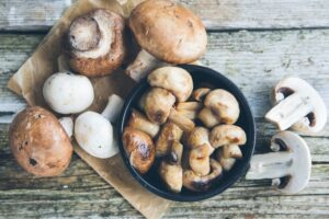 La dieta dei funghi