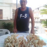 Luciano e il fungo