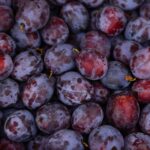 Dieta contro la stitichezza: gli alimenti utili