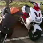 Raduno di scooter
