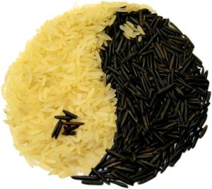 Lo Zen a tavola: cos'è la dieta Yin e Yang