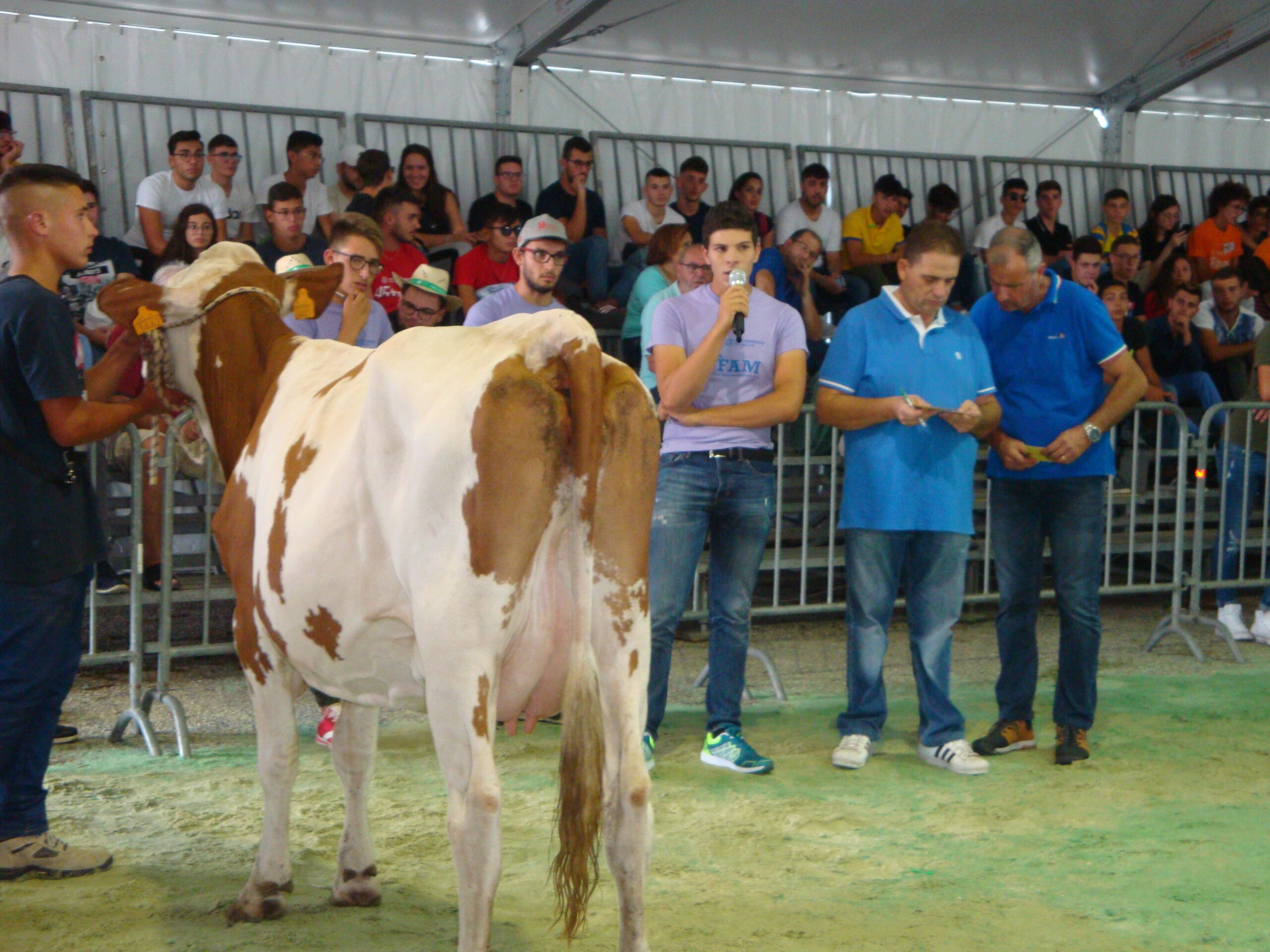 Le scuole agrarie alla Fiera agricola di Ragusa