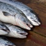 Trigliceridi alti: la dieta da seguire