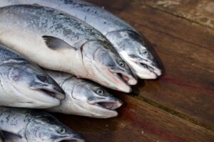 Trigliceridi alti: la dieta da seguire