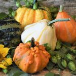 Dieta per l'autunno