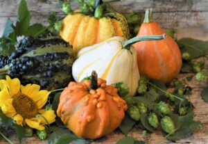 Dieta per l'autunno